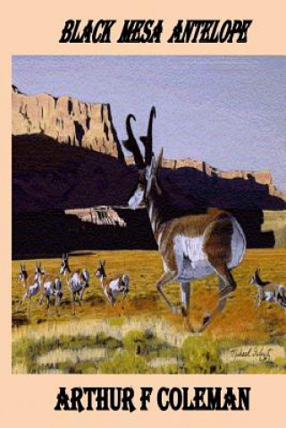 Black Mesa Antelope: Black Mesa Antelope