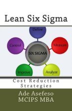 Lean Six Sigma: Cost Reduction Strategies