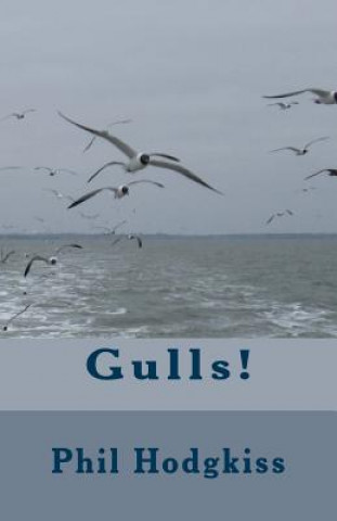 Gulls!