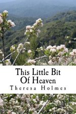 This Little Bit Of Heaven: Book One of the Starfield Valley Tales