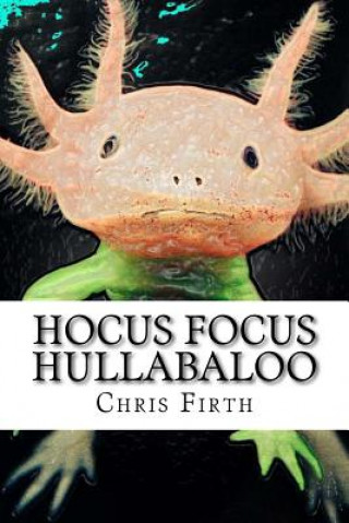Hocus Focus Hullabaloo: Strange and Fantastical Myths and Tales
