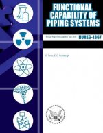 Functional Capability Of Piping Systems
