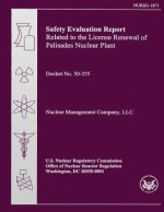Safety Evaluation Report Related to the License Renewal of Palisades Nuclear Plant