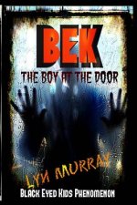 BEK (Black Eyed Kids Phenomenon): The Boy At The Door