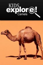 Camels - Kids Explore: Animal books nonfiction - books ages 5-6
