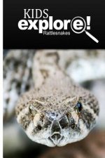 Rattle Snakes - Kids Explore: Animal books nonfiction - books ages 5-6