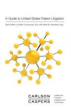 A Guide to United States Patent Litigation