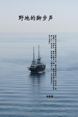 The Adventure of Apostle Paul and His Letters (Simplified Chinese Edition)