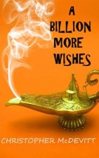 A Billion More Wishes