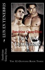 Lux Ex Tenebris: The 12 Olympians Book Three