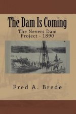 The Dam Is Coming: The Nevers Dam Project - 1890