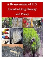 A Reassessment of U.S. Counter-Drug Strategy and Policy