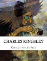 Charles Kingsley, Collection novels