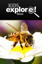 Bees - Kids Explore: Animal books nonfiction - books ages 5-6