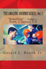 The Amazing Journey Series: Vol. 3: 