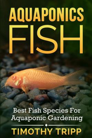 Aquaponics Fish: Best Fish Species For Aquaponic Gardening