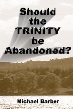 Should the Trinity be Abandoned?