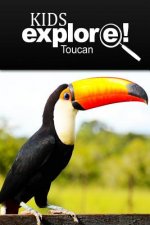 Toucan - Kids Explore: Animal books nonfiction - books ages 5-6