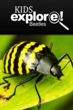 Beetles - Kids Explore: Animal books nonfiction - books ages 5-6