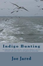 Indigo Bunting: A collection of sixty poems, each describing a species of birds and each rich in metaphorical meanings