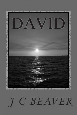 David: Journey Continues