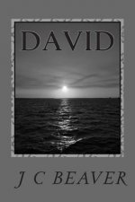 David: Journey Continues