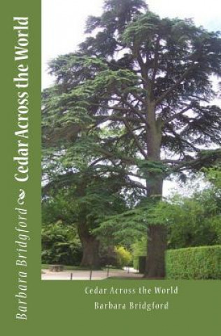 Cedar Across the World