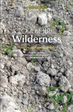 Out of the Wilderness: 40 Personal Poems of Faith