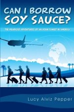 Can I Borrow Soy Sauce?: The Hilarious Adventures Of An Asian Family In America