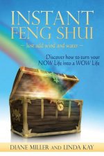 Instant Feng Shui Just add Wind and Water: Discover how to turn your NOW Life into a WOW Life
