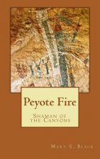Peyote Fire: Shaman of the Canyons