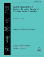 Safety Evaluation Report: Related to the License Renewal of the R.E. Ginna Nuclear Power Plant