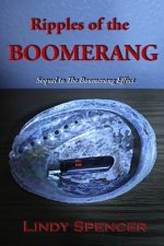 Ripples of the Boomerang: Sequel to The Boomerang Effect