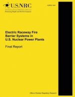 Electric Raceway Fire Barrier Systems in U.S. Nuclear Power Plants: Final Report