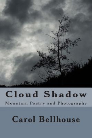 Cloud Shadow: Mountain Poetry