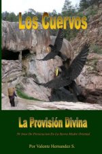 Los Cuervos: Provision Divina