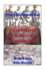 Chicano Gangs and History of the Southwest U.S.: From Carnalismo to Chaos:
