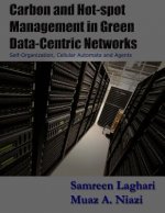 Carbon and Hot-spot Management in Green Data-Centric Networks