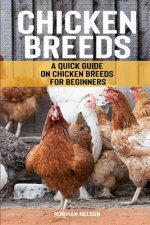 Chicken Breeds: A Quick Guide on Chicken Breeds for Beginners