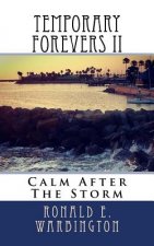 Temporary Forevers II: Calm After The Storm