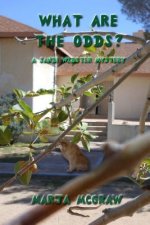 What Are the Odds?: A Sandi Webster Mystery