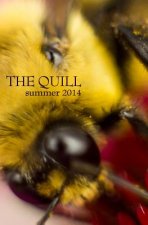 The Quill: (Summer 2014)
