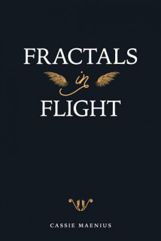 Fractals In Flight