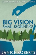 Big Vision, Small Beginnings