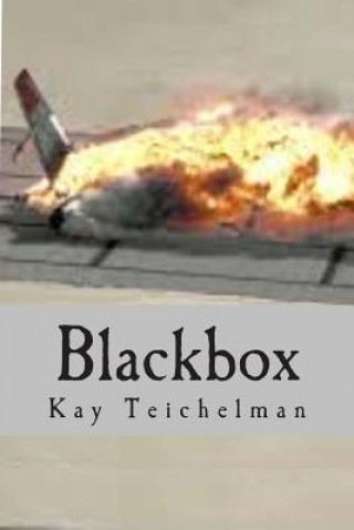 Blackbox: Terrorists control the autopilot.