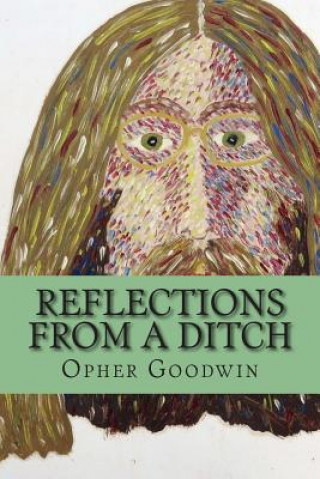 Reflections from a ditch