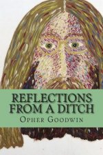 Reflections from a ditch