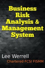 Business Risk Analysis & Management System: A Risk Management System for Small & Medium Sized Enterprises Using Typical Office Software to Evidence Ri