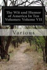 The Wit and Humor of America In Ten Volumes: Volume VII