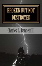 Broken But Not Destroyed: Overcoming my felonies with Christ